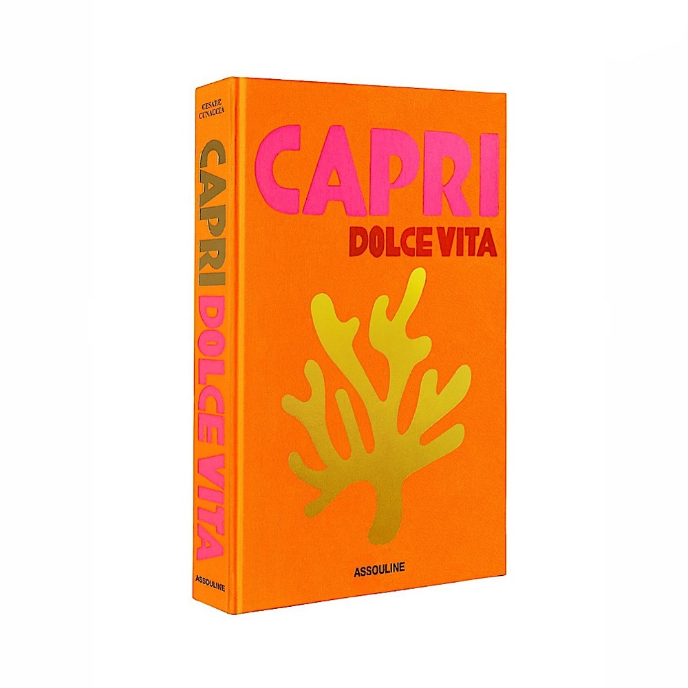 NEW Decorative Assouline Book Box